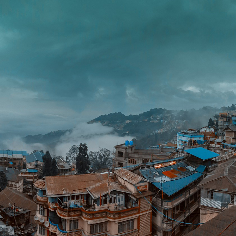 05-Darjeeling-Maison.jpg
